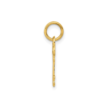 14k Yellow Gold Key Pendant, Classic Skeleton Key Charm, Vintage Inspired Design for Women