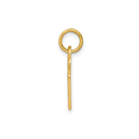 14k Yellow Gold Skeleton Key Pendant, Dainty Vintage Style Charm with Openwork Design for Women