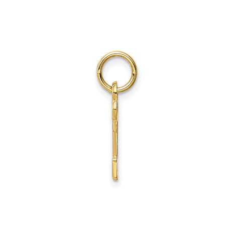 14k Yellow Gold Skeleton Key Pendant Charm, Vintage Inspired Symbolic Jewelry for Women