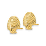 14k Yellow Gold Scallop Shell Stud Earrings, Marine Inspired Beach Jewelry for Women