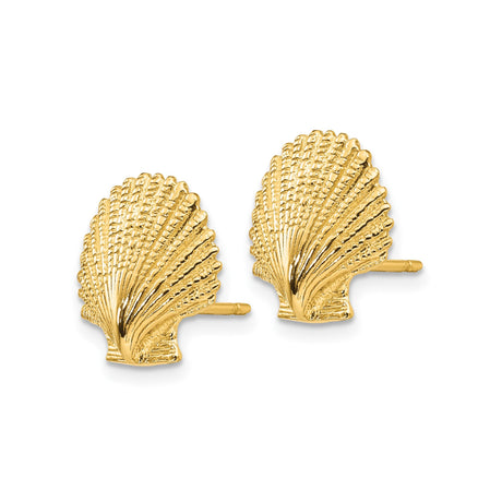 14k Yellow Gold Scallop Shell Stud Earrings, Marine Inspired Beach Jewelry for Women