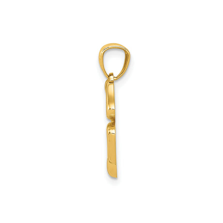 14k Yellow Gold Four-Leaf Clover Pendant, Polished Irish Luck Symbol Charm for Women or Unisex Wear