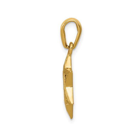 14k Yellow Gold Star of David Pendant, Textured Religious Symbol for Women or Unisex Wear