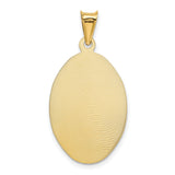 14k Tri-Tone Gold Sacred Heart Oval Pendant with Rhodium Accents, Christian Religious Medal