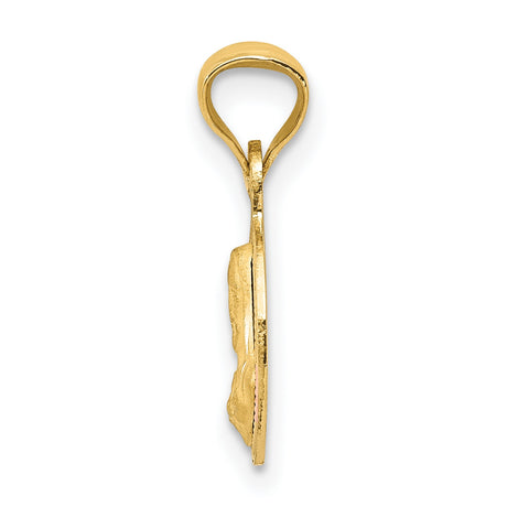 Polished Sagrado Corazon de Jesus Round Medal Charm Pendant in Real 14k Multi-Tone Gold