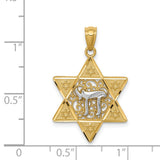 Yellow Polished Star Of David With White Chai Long Life Symbol Charm Pendant in Real 14k Multi-Tone Gold