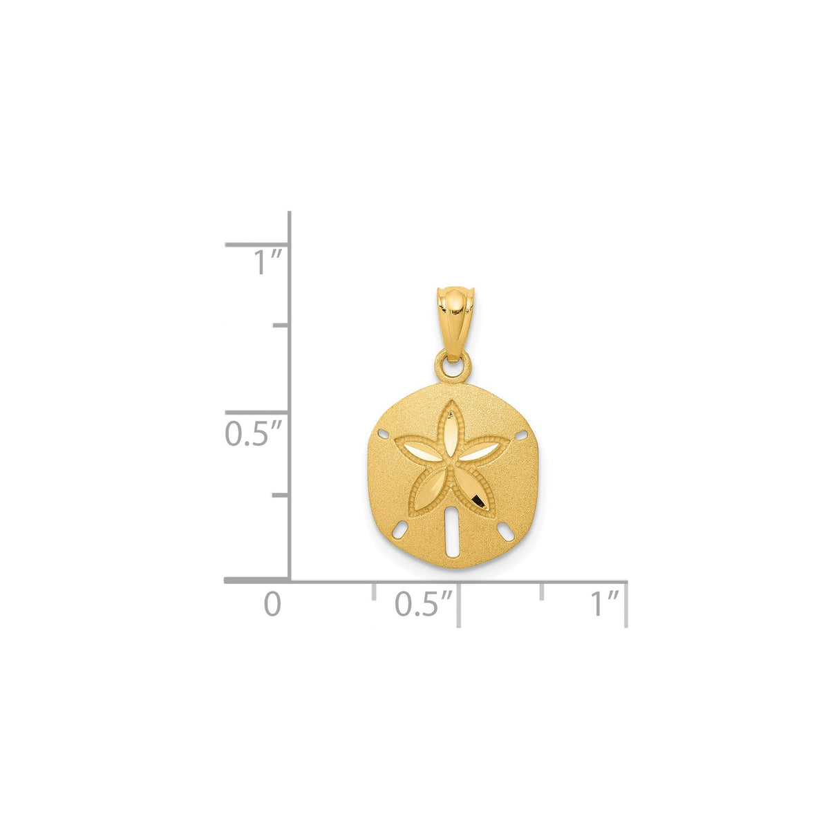 14k Yellow Gold Sand Dollar Pendant with Star Cutout, Nautical Ocean Charm for Women