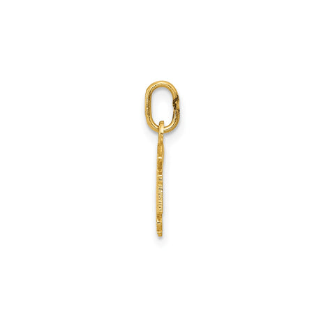 14k Yellow Gold RN Pendant with Caduceus Symbol, Medical Charm for Nurses