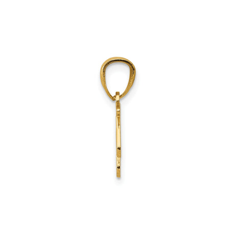 14k Yellow Gold Music Pendant with Treble Clef and Musical Notes, Unisex Charm