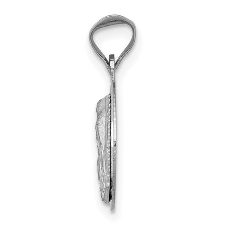 14k White Gold Virgin Mary Pendant, Our Lady of Guadalupe Religious Medallion Charm