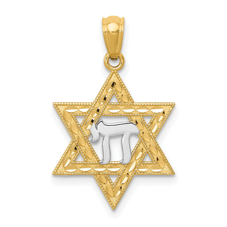 14k Multi-Tone Gold Star of David Pendant with Hebrew Chai Symbol, Jewish Faith Charm