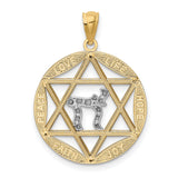 Rhodium Star Of David And Chai With Love Life Hope Joy Faith And Peace Words Charm Pendant in Real 14k Multi-Tone Gold