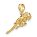 14k Yellow Gold Parrot Pendant with Feather Engraving, Unisex Tropical Bird Charm