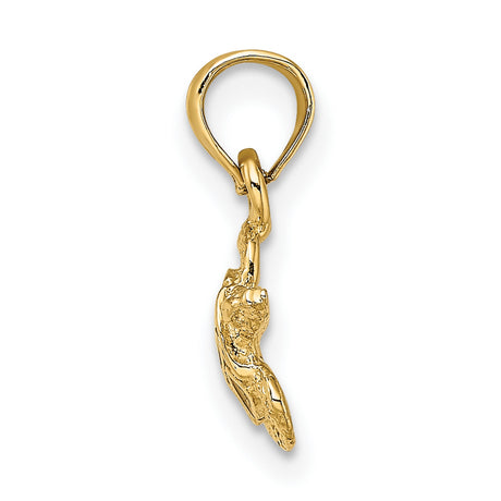14k Yellow Gold Sea Turtle Pendant with Brown Enamel Shell Detailing, Nautical Charm