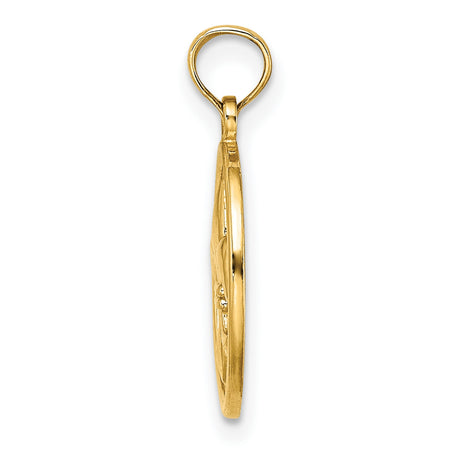 14k Yellow Gold Oval Pendant with Raised Fleur-de-Lis Symbol, French Heritage Design