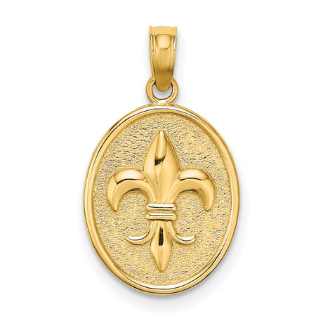 14k Yellow Gold Oval Pendant with Raised Fleur-de-Lis Symbol, French Heritage Design