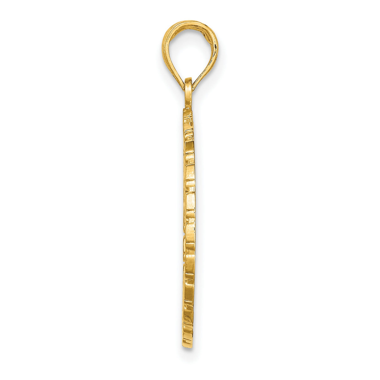 14k Yellow Gold Puerto Rico Palm Pendant with Circular Frame, Caribbean Travel Charm
