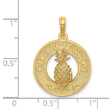 14k Yellow Gold Pineapple Pendant with Textured Circle, Southern Hospitality Travel Charm