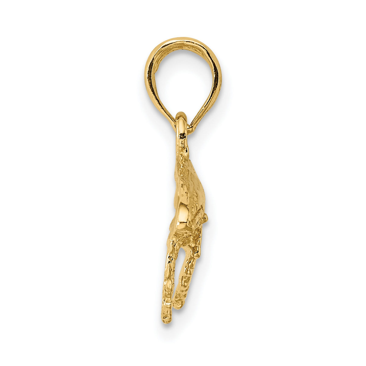 14k Yellow Gold Humpback Whale Pendant, Textured Ocean Charm, Nautical Jewelry for Women or Unisex
