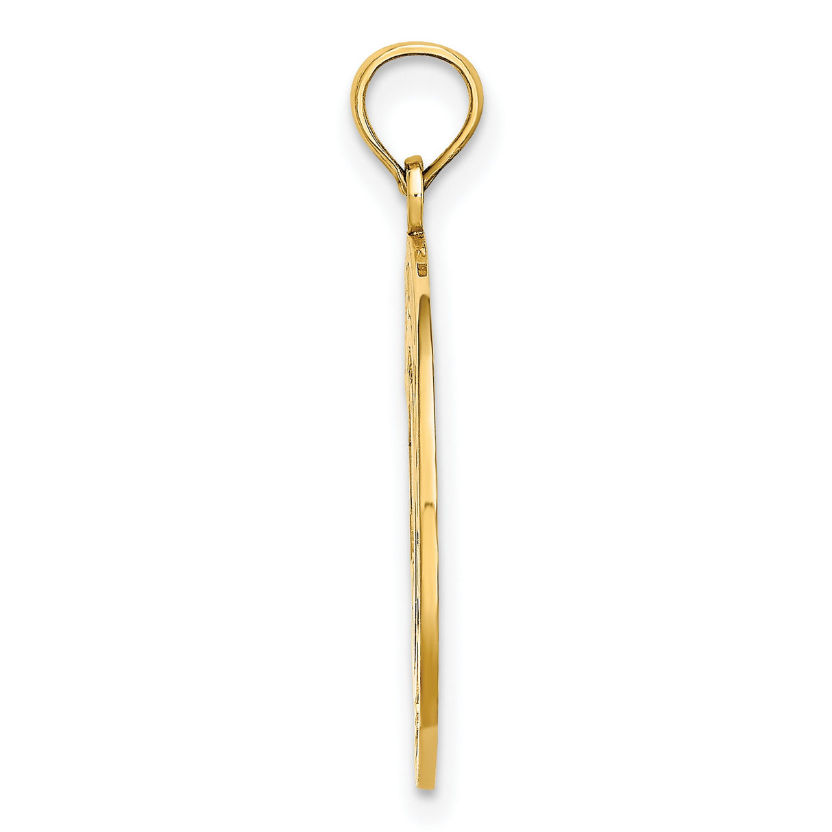 14k Yellow Gold Pendant with Facing Dolphins in Circular Frame, Nautical Ocean Theme