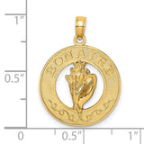 14k Yellow Gold Bonaire Pendant with Raised Conch Shell, Island Charm, Ocean-Inspired Jewelry