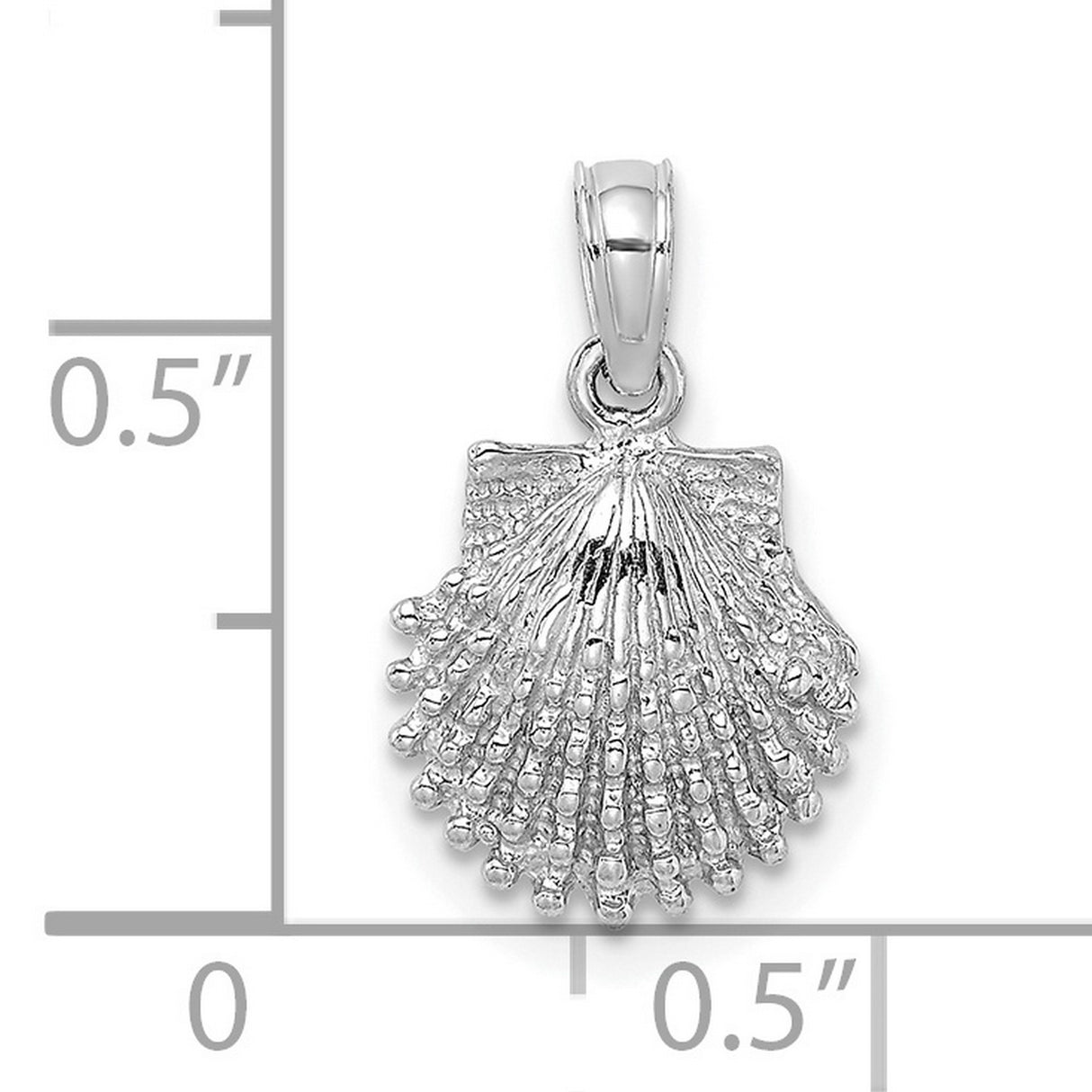 14k White Gold Scallop Shell Pendant, Nautical Coastal Charm for Women