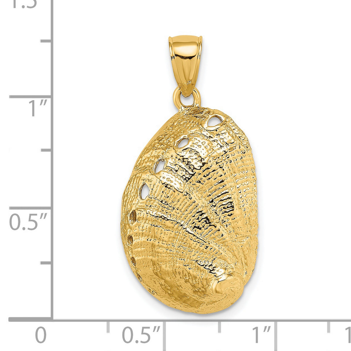 14k Yellow Gold Seashell Pendant with Abalone Shell, Nautical Beach-Inspired Jewelry for Women