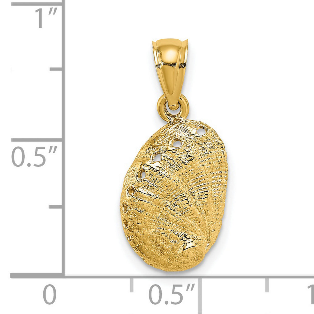 14k Yellow Gold Pendant with Abalone Shell, Textured Nautical Design for Women