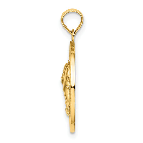 14k Yellow Gold Pendant, Two Dolphins Touching Fins in Circle, Nautical Ocean Charm