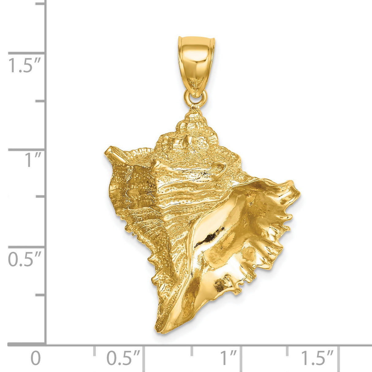 14k Yellow Gold Conch Shell Pendant, Textured Nautical Ocean Jewelry for Women or Unisex