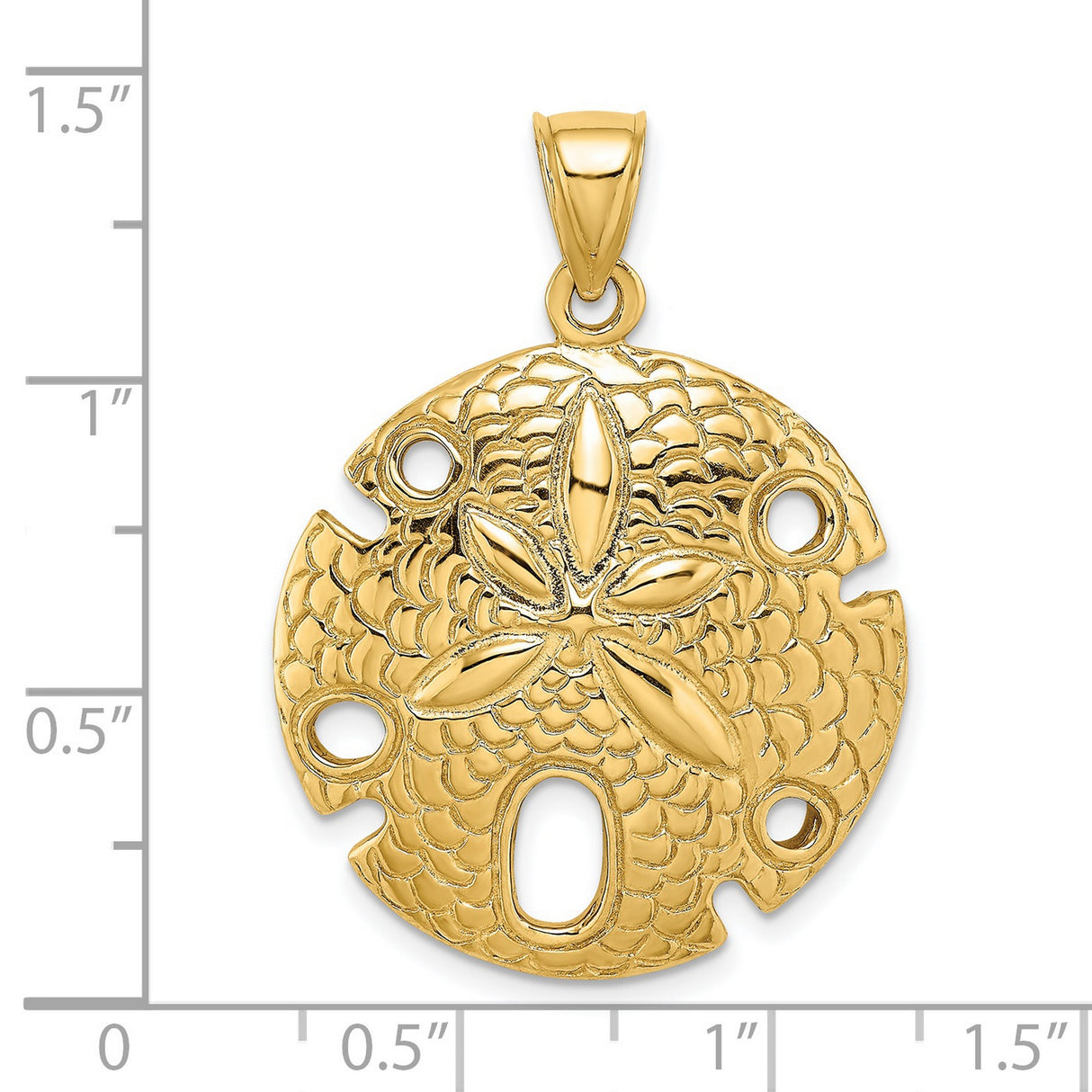 14k Yellow Gold Sand Dollar Pendant with Five Petal Cutout, Textured Nautical Charm
