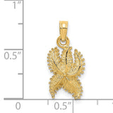 14k Yellow Gold Starfish Pendant Charm with Textured Detailing and Polished Finish