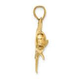 14k Yellow Gold Mahi-Mahi Fish Pendant, Nautical Ocean Theme for Men or Unisex