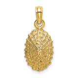 14k Yellow Gold Pendant, Divine Mercy with Radiant Jesus Image, Catholic Religious Charm