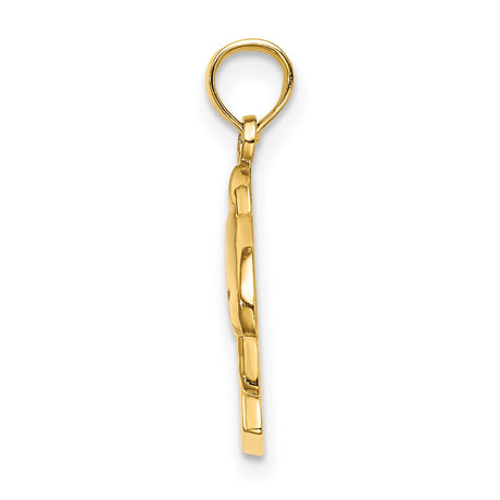 14k Yellow Gold Dolphin Pendant with Curacao Engraving, Ocean-Inspired Unisex Charm