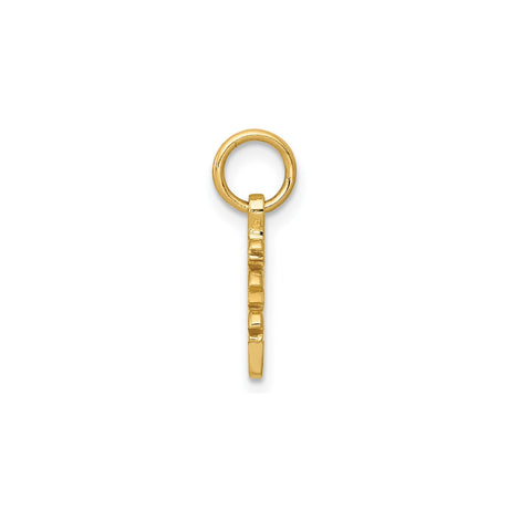 14k Yellow Gold Pendant with Chinese Longevity Symbol, Asian Spiritual Amulet Charm