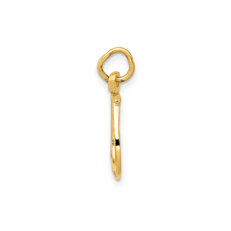 14k Yellow Gold Horseshoe Pendant with Textured Detailing, Lucky Charm Symbolizing Protection