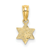 14k Yellow Gold Star of David Pendant with Hebrew Chai Symbol, Jewish Religious Jewelry