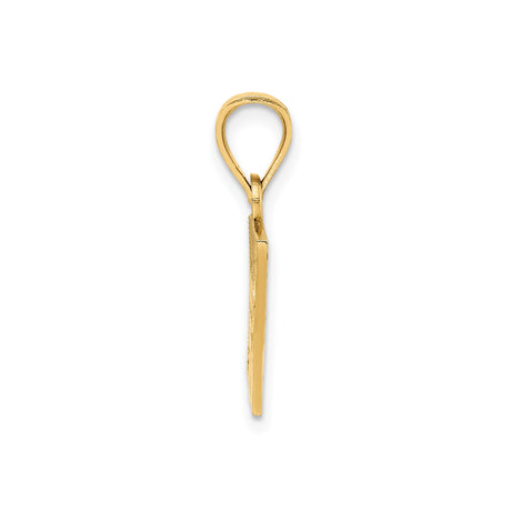 14k Yellow Gold Puerto Rico Flag Pendant with Red White Blue Enamel and White Star