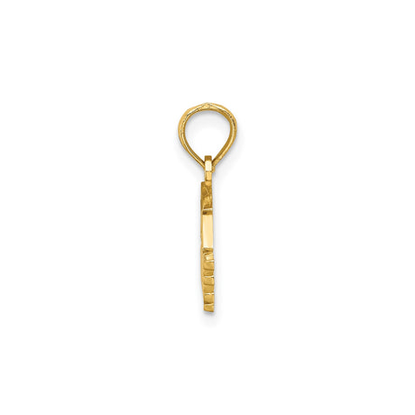 14k Yellow Gold Graduation Cap Pendant, Graduate Inscription Charm for Women