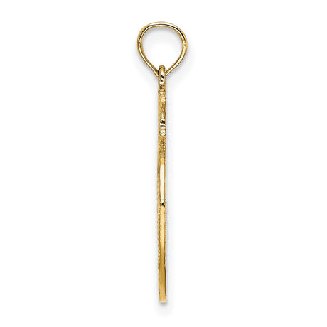14k Yellow Gold Apple Pendant with New York Skyline, NYC Pride Charm