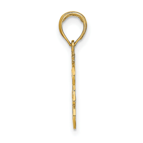 14k Yellow Gold Leo Zodiac Pendant with Detailed Lion Symbol and LEO Word