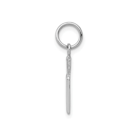 14k White Gold RN Pendant with Caduceus Symbol, Medical Charm for Nurses