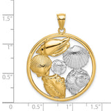 14k Multi-Tone Gold Sea Shell and Sand Dollar Pendant, Ocean Theme Jewelry for Women