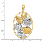 14k Multi-Tone Gold Oval Pendant with Seashell, Sand Dollar and Conch Shell Details