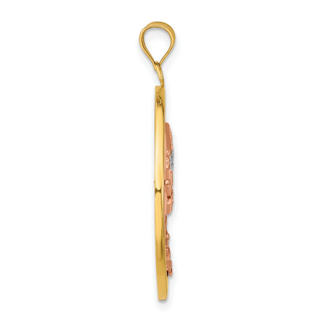 14k Two-Tone Gold Dragonfly Pendant in Yellow Gold Circle with White and Rose Accents