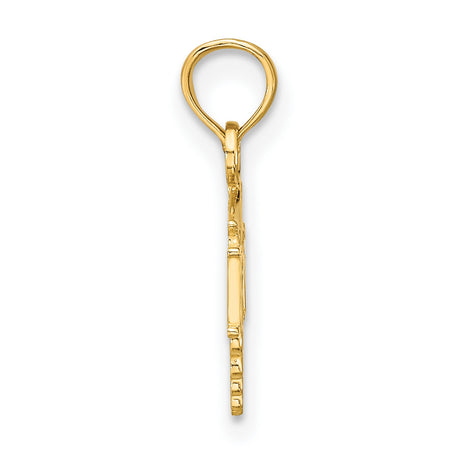 14k Yellow Gold RN Caduceus Pendant, Registered Nurse Medical Symbol Charm for Women and Unisex