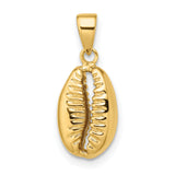 14k Yellow Gold Cowrie Shell Pendant, African Tribal Beach Charm for Women