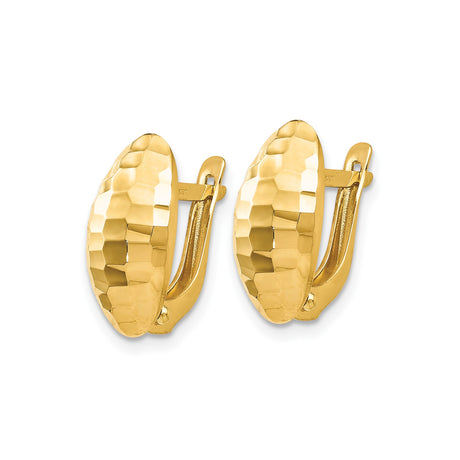 14k Yellow Gold Oval Hoop Earrings with Hammered Finish and Hinged Clasp