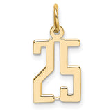 14k Yellow Gold Number 25 Pendant Charm, Sleek Modern Milestone Jewelry for Women or Unisex Wear